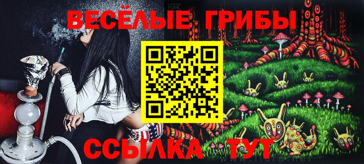 Камень-на-Оби  Галлюциногенные грибы Psilocybe  Вход с VPN 